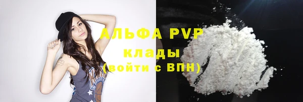 индика Липки